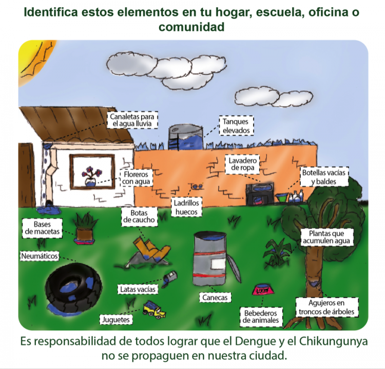 Chikungunya safety message