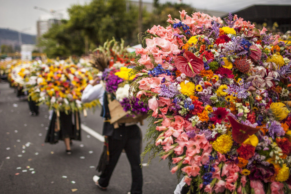Medellín’s Flower Culture: Inside the Traditions Behind the Famous Flower Festival