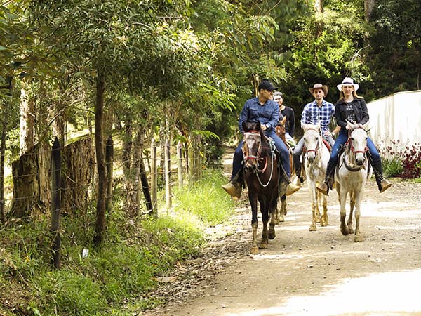 Things to Do in Medellín on Sundays